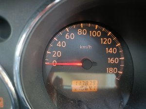1000012081