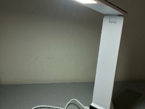 1000010698
