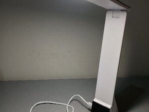 1000010699