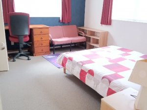Duble room queen