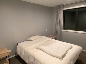 IMG_2487