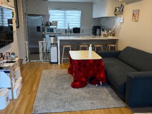 IMG_3013