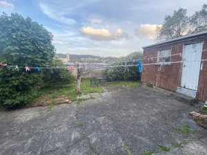 Back yard