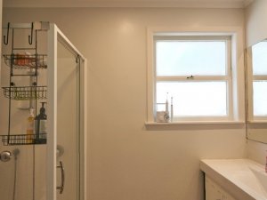 Shower and toilet