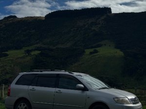 IMG_0011