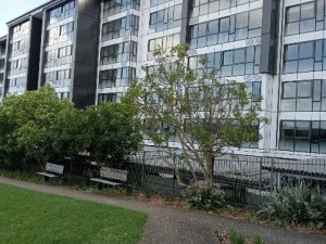 IMG_0102