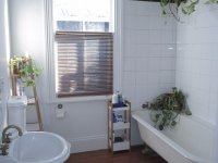 IMG_0688 - Copy