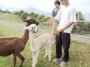 IMG_20241208_170435