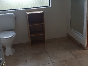 ShowerToilet