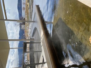 無料足湯温泉