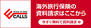 海外傷害保険