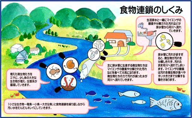 Enviroschools