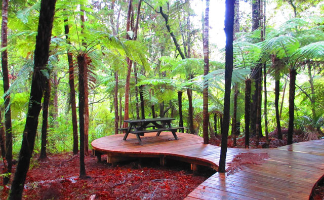 ワイタケレ森林公園