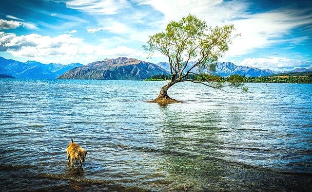 Lake Wanaka 