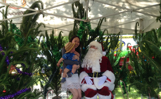 サンタと息子と私