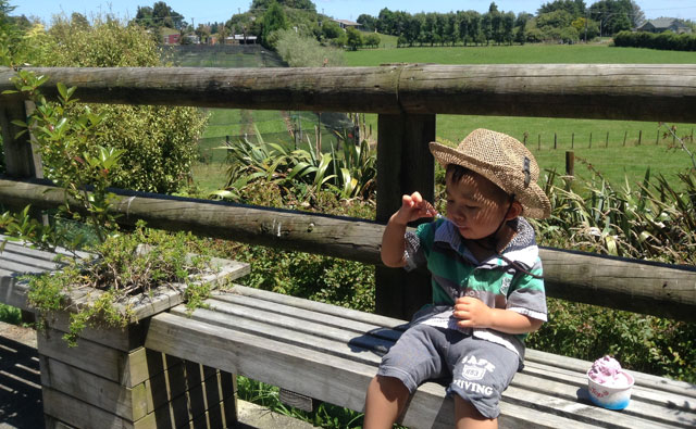 ブルーベリーアイスを食べる息子