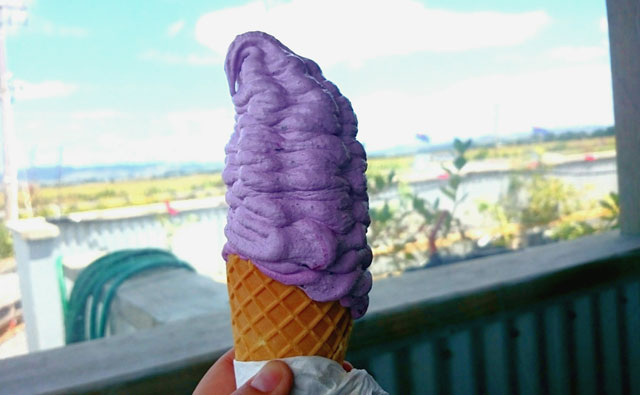 ブルーベリーアイス