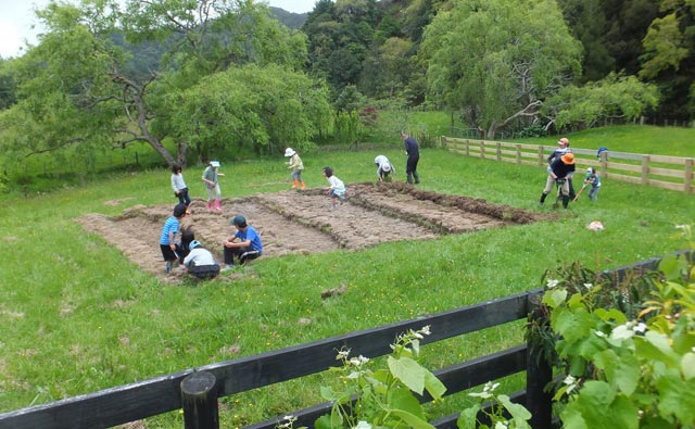 ボランティアさん