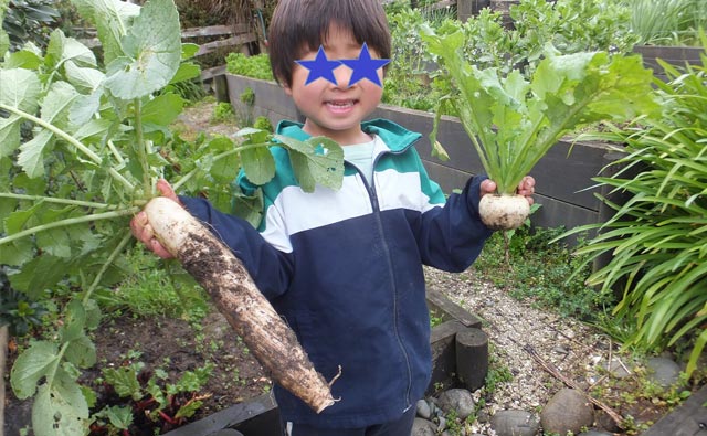 第7回 野菜食べ放題を目指して