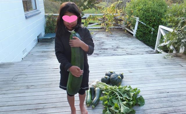 巨大ズッキーニ