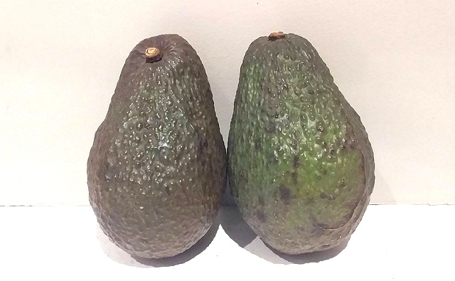 photo-3-avocado