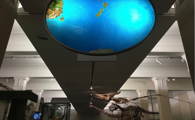 Auckland War Memorial Museum (Tāmaki Paenga Hira)