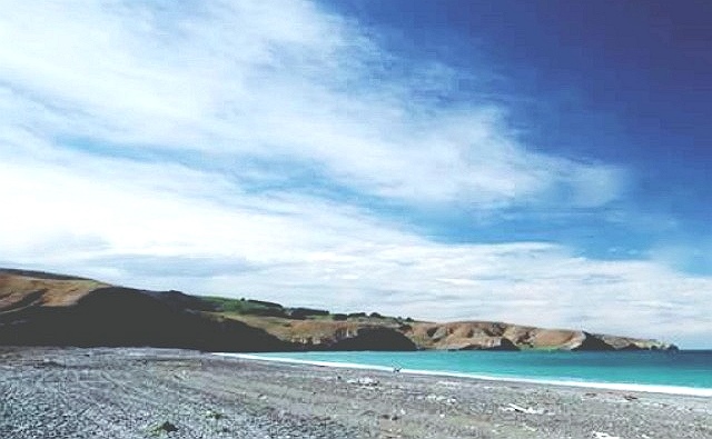 birdlingsflat-beach-3