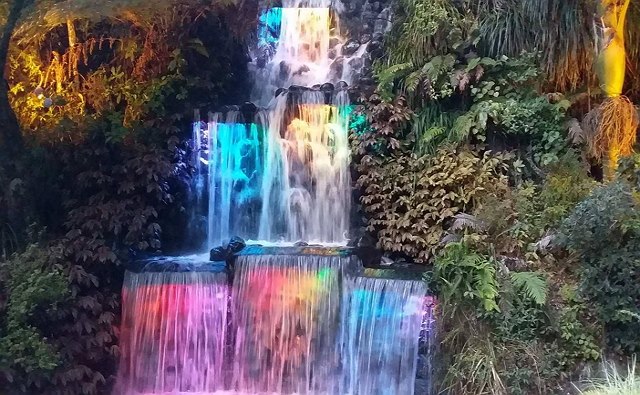 2019 Festival of Lights in ニュープリマス