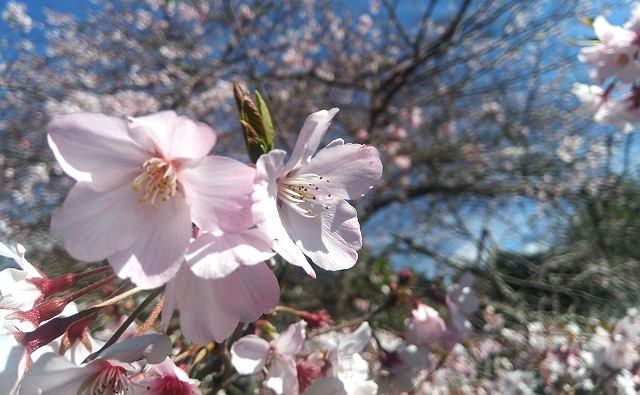 photo-1