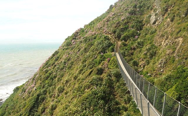 Wellington から近場で行けるトレッキングコース