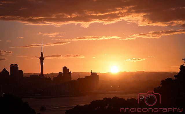 View from Mount Victoria 4