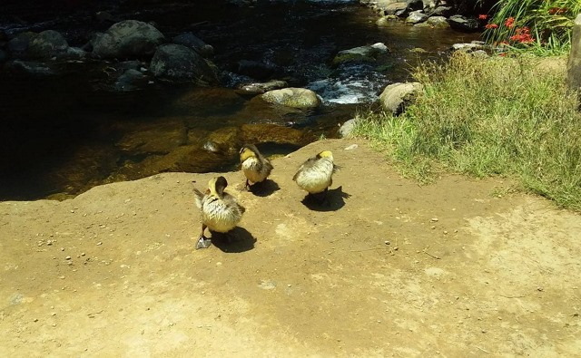 photo-3