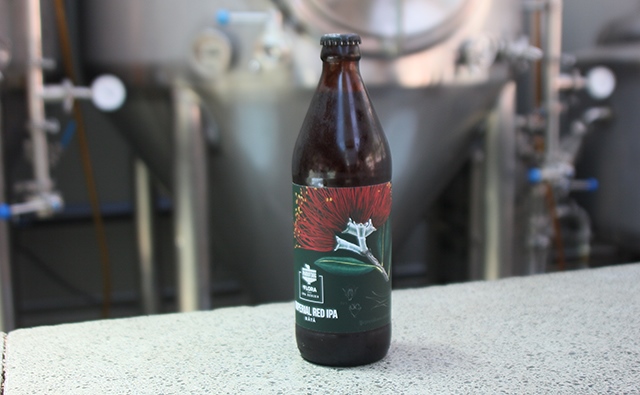 beer11