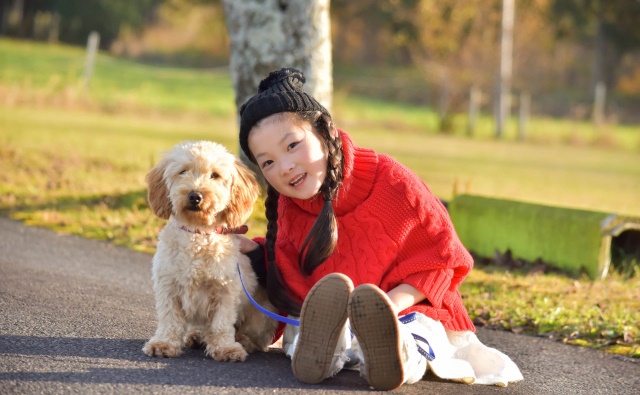 ペットを連れて帰国