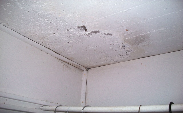 photo-4