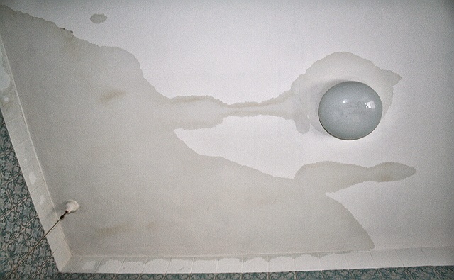 photo-5