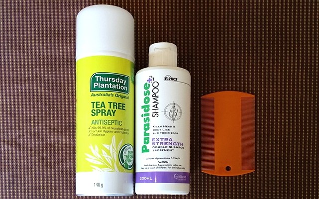 アタマジラミの対処法