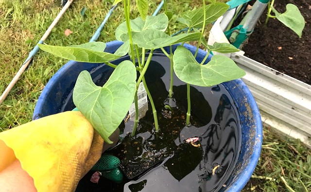 photo-2