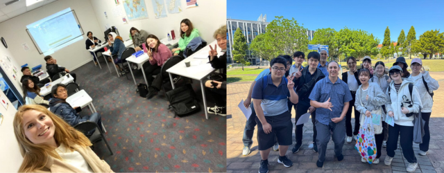 kiwi main2