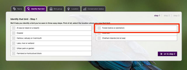 野鳥検索サイト