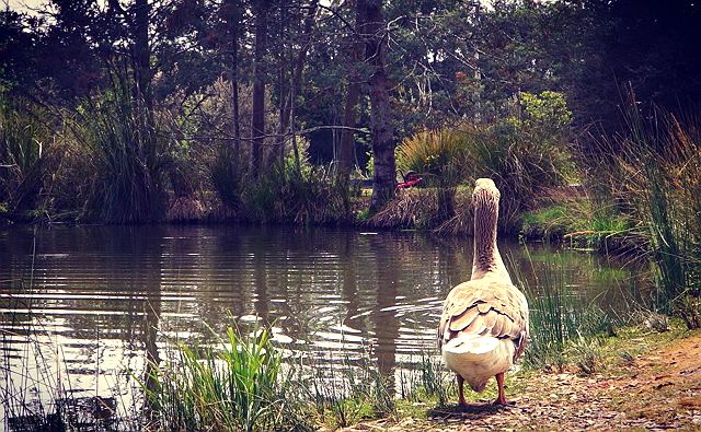 出国前に考えるこ
