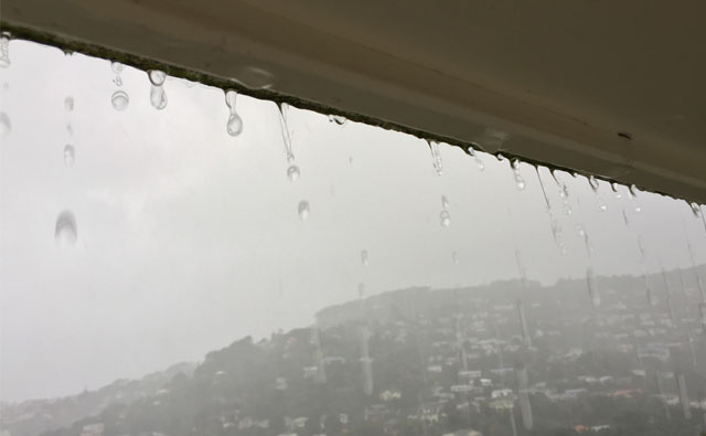 ニュージーランドで台風を英語でなんて呼ぶ？